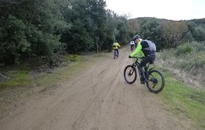 Sortie du 1er Décembre 2025