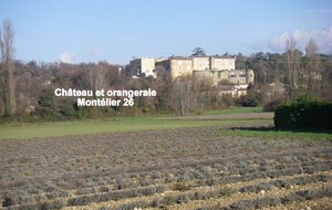 Sortie du 17 Déc 2025