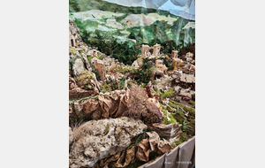 Sortie du 17 Déc 2025