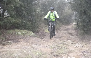 Sortie du 29 Déc 2025