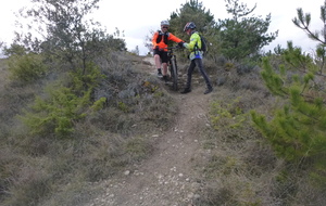 Sortie du 14 Jan 2026