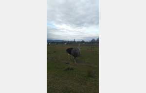 Sortie du 14 Jan 2026