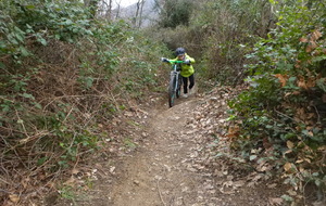 Sortie du 21 Jan 2026