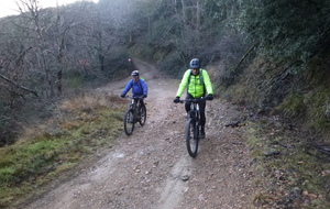 Sortie du 26 Janvier 2026