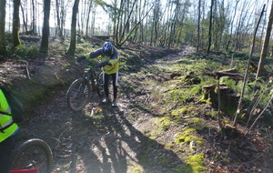 Sortie du 26 Janvier 2026