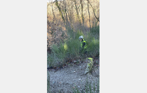 Sortie du 26 Janvier 2026