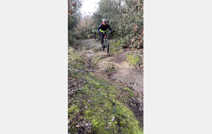 Sortie du 26 Janvier 2026