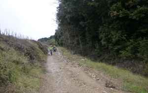 sortie du 28 Janvier 2026