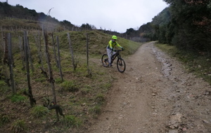 sortie du 28 Janvier 2026