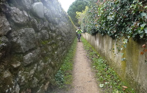 sortie du 28 Janvier 2026