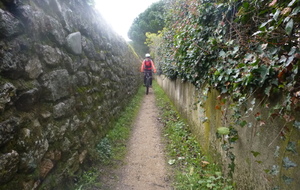 sortie du 28 Janvier 2026