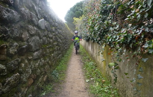 sortie du 28 Janvier 2026