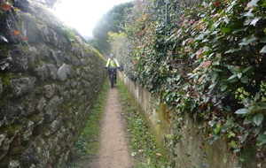 sortie du 28 Janvier 2026