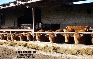 Sortie du 29 Janvier 2026