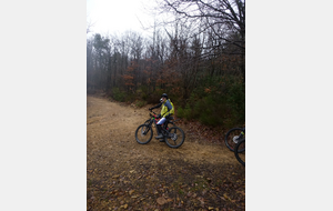 Sortie du 2 Février 2026