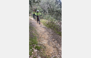 Sortie du 4 Février 2026