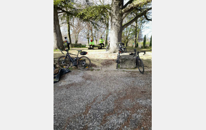 Sortie du 3 Février 2026