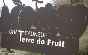 Sortie du 6 Février 2026