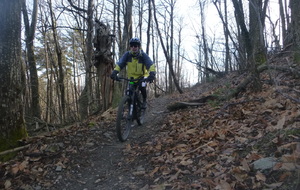 Sortie du 9 Février 2026