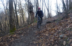 Sortie du 9 Février 2026