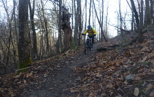 Sortie du 9 Février 2026