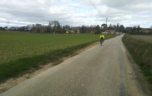 Sortie Codep Février 2026