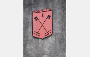 Sortie du 3 Mars 2026