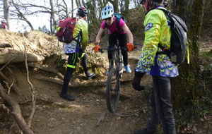 Sortie du 4 Mars 2026