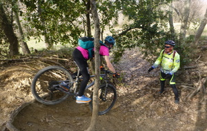 Sortie du 4 Mars 2026