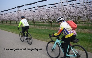 Sortie Coala du 7 Mars 2026