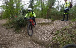 Sortie du 11 Mars 2026