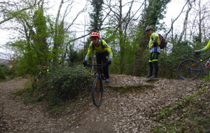 Sortie du 11 Mars 2026