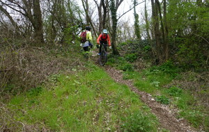 Sortie du 11 Mars 2026