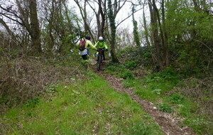 Sortie du 11 Mars 2026