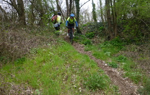 Sortie du 11 Mars 2026