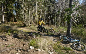 Sortie du 6 Avril 2026