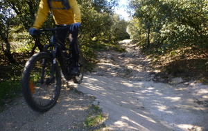 Sortie du 6 Avril 2026