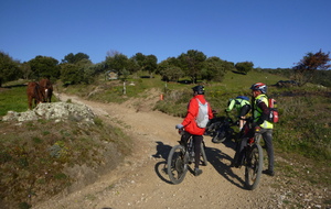 Sortie du 6 Avril 2026