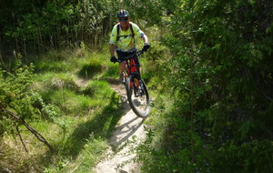 Sortie du 29 Avril 2026