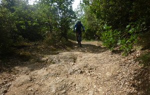 Sortie du 1er Juin 2026