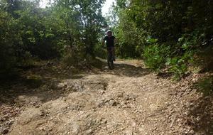 Sortie du 1er Juin 2026