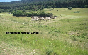 Sortie du 6 Juin 2026