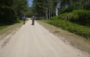 Sortie du 8 Juin 2026