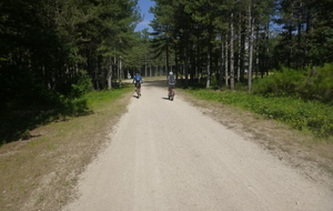 Sortie du 8 Juin 2026