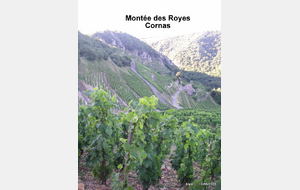 Sortie du 12 Juin 2026