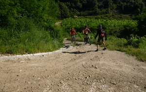 Sortie du 15 Juin 2026