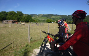 Sortie du 15 Juin 2026