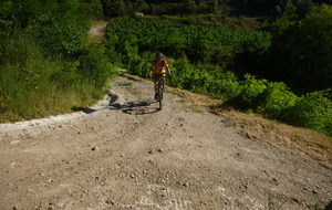 Sortie du 6 Juillet 2026