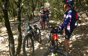 Sortie du 20 Juillet 2026