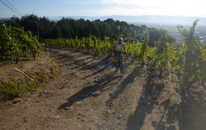 Sortie du 14 Sept 2026